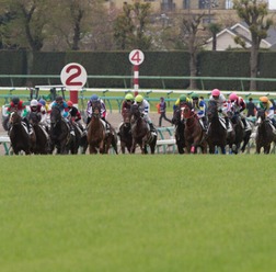 【オールカマー／データ攻略】ヨーホーレイクとドゥラドーレスの「買い or 消し」　良血馬2頭で「3.0.0.0」の勝ち馬候補は