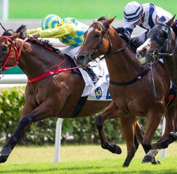 【凱旋門賞】海外ブックメーカーは前年2着アヴァンチュールと“怪物牝馬”を1番人気に　日本馬3頭のオッズは