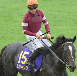 【菊花賞】ジョッキーカメラが捉えた川田将雅の2週連続“ハラハラ”ゲート内 「あー!」で発馬の災難にファン既視感