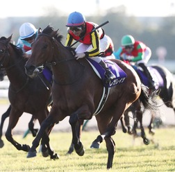 【エリザベス女王杯】ジョッキーカメラに見たレガレイラ・戸崎圭太のブレない映像に、ファン感嘆「ベリベリジョッキー」