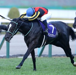 【マイルCS/危険な人気馬】マイルGI馬3強の一角に“黄信号”データ浮上 消しレベルの「1/63と0/4」