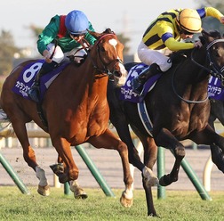 【ジャパンC】「どんなジョッキーカメラより熾烈」各馬のポジション争いにファン熱狂「バッチバチの競り合い」