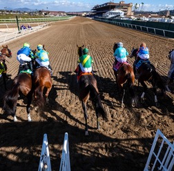 【チャンピオンズC/馬場情報】土曜は8枠好走も“イン突き”がコース攻略 枠と血統で浮上した想定“10人気”の爆穴