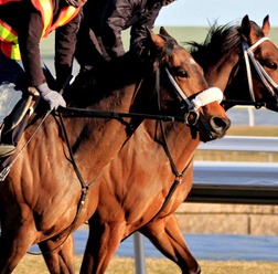 【朝日杯FS／追い切り診断】2戦2勝の一角に高評価「A」　完成度高く「パワフルな動き」　ドカンと伸びて“凄み”増す