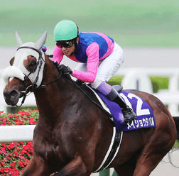 【有馬記念/サイン馬券】高市首相ばりに働く女傑レガレイラか、リアル・ロイヤルファミリーのメイショウタバルか