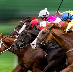 【有馬記念／全頭診断】人気ガタ落ちGI馬に「1.2.0.1」　アドマイヤモナーク級の“超ド級穴馬”は現れるか