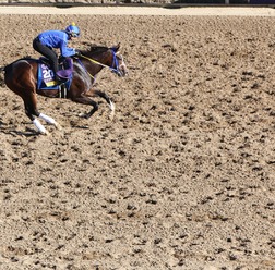 【フェブラリーS/穴ライズ】秘めた能力は相当高い、前売り“8人気”前後の伏兵に「暴走か、一発か」の魅力あり