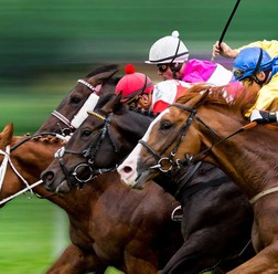 【中山記念／全頭診断】前走GI組なら断然セイウンハーデス　“3着穴”妙味は前走馬券外の7歳馬