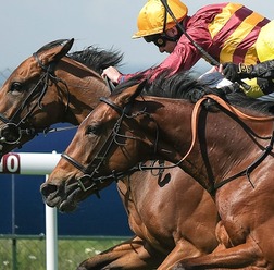 【スプリングS／追い切り診断】我慢を利かせる“実戦意識”の稽古に「A」の高評価　危うさ同居も「いかんなく力を発揮できる状態」