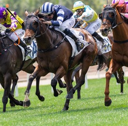 【桜花賞/全頭診断】2強では「2.2.0.0」該当馬にデータの軍配 前走馬券外の“穴候補”も要警戒