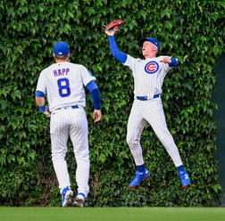 【MLB】「ボールが2つある」捕った?落とした?カブス本拠地リグレーフィールド名物の信じられない珍プレー 外野手がツタのフェンスに激突し……