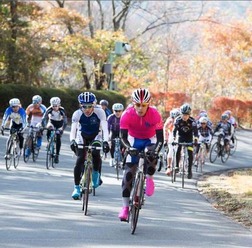 　自転車を使った耐久レース、第4回TCFエンデューロが12月1日に静岡県修善寺町の日本サイクルスポーツセンターで開催され、チーム日本大学が優勝。総合優勝の賞金10万円を獲得し、「賞金は山分けです」と喜んだ。