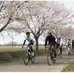 国際興業トラベルが運行する「サイクリングバスツアー」は景色のよい場所だけサイクリングを楽しむことで人気だが、「茨城県・早春・霞ヶ浦＆つくばりんりんコース」がリニューアルされ、3月8日(土)、3月29日(土)、4月5日(土)に催行されることになった。バスで移動する