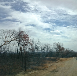 Bushfire Adelaide hills
