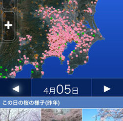 全国から寄せられる桜の観察リポートをもとにした最新の開花情報を日本上空から映し出し、過去・現在・未来まで詳細に見ることができる「さくらシミュレーター」をウェザーニューズが開始した。