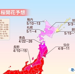 桜前線は東北へ！