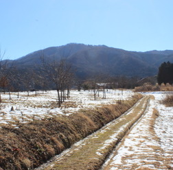 吾国山へと続く道。里山ののどかな風景を眺めながら、ウォーキングが楽しめる。