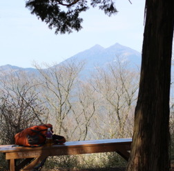 頂上のベンチで筑波山を見ながら一休み。ちょこっとハイクには、ちょこっと以上の感動がある場合も。