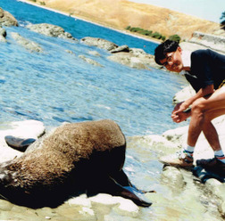 東海岸に面した港町、カイコウラではオットセイに遭遇。こわごわ近づいている25年前の僕