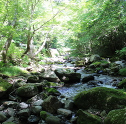 茨城県・北茨城市にある花園渓谷。茨城県の4大渓谷のひとつに数えられる。上流には猿ヶ城渓谷があり、紅葉の季節には美しい風景を見せてくれる。