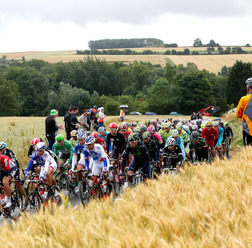 2015年ツール・ド・フランス第5ステージ（2015年7月8日）