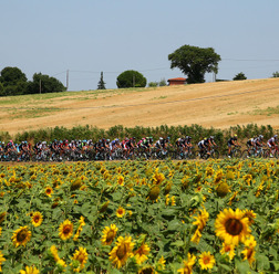 ツール・ド・フランス第13ステージ（2015年7月17日）（2015年7月17日）