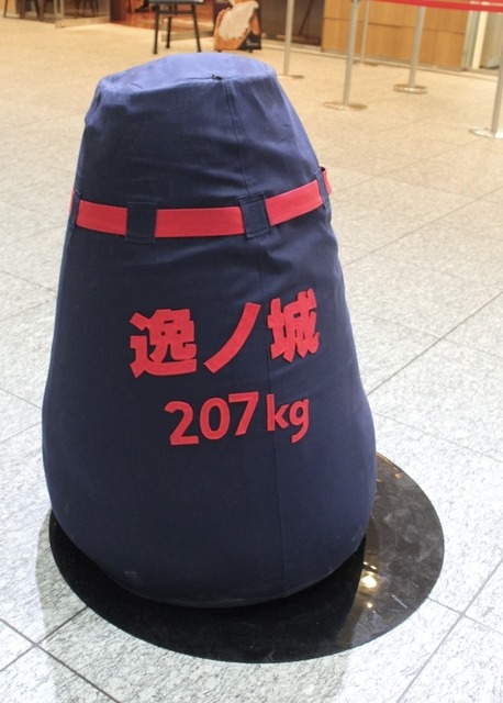 力士（逸ノ城関）の「重さ（207kg）」を再現したもの