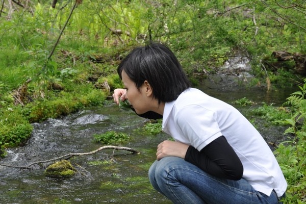 妙高高原笹ヶ峰の森林セラピーのコース途中には、平成の名水百選「宇棚の清水」がある。