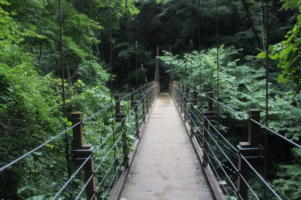 帰りは4号路。登山道っぽい道で途中には吊り橋もある。