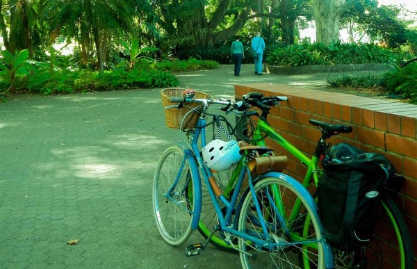 植物園にもサイクリストが。。。園内は、サイクリングが禁止のため、駐輪している自転車を見かけます。