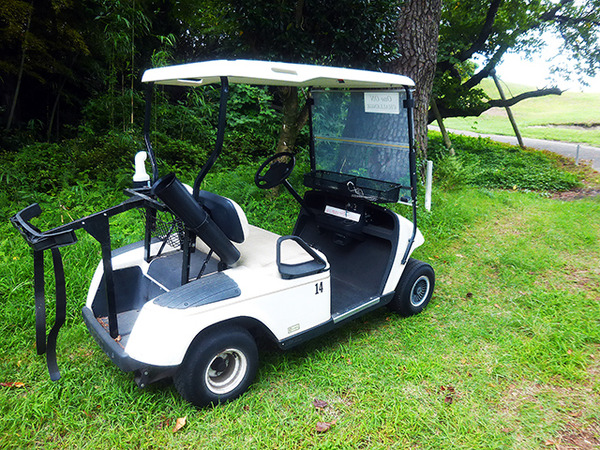 EZGO（米国、イージーゴー）製2人乗りカートなどの姿もあった