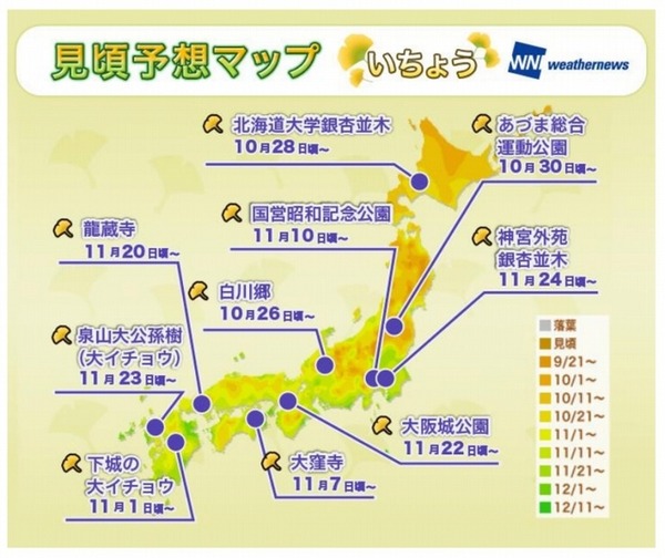 紅葉の見頃予想マップ：いちょう