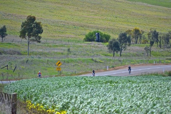 Farmland peppered throughout the ride