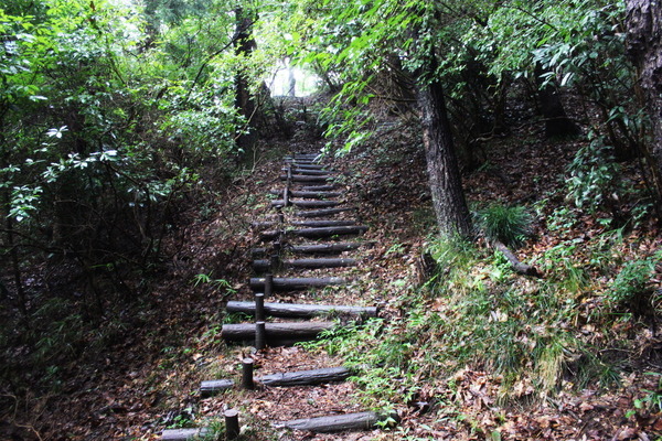 湯袋側から峰寺側へ抜ける方が、登りが多くてちょっときつめ。