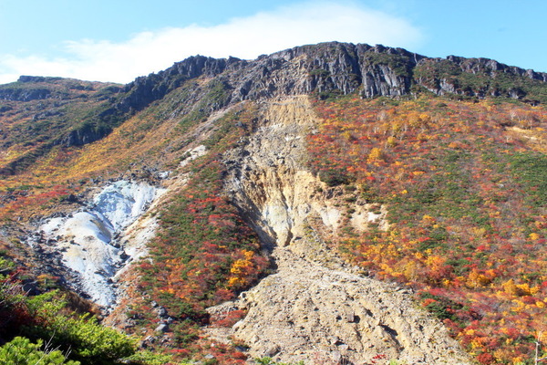 イロトリドリの世界が山全体を包む。