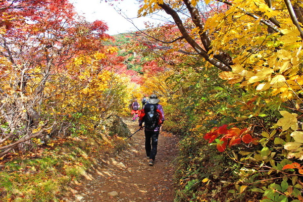 紅葉トンネルの中を歩く。