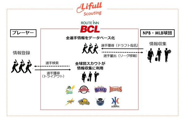 プロ野球独立リーグ「ルートインBCリーグ」がスポーツマッチングサービスを導入