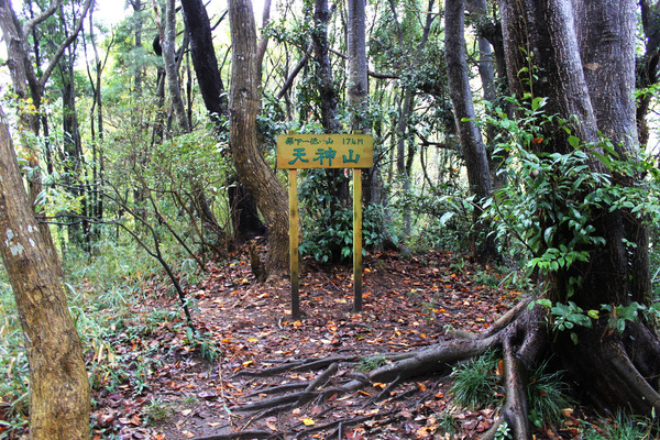 天神山の山頂。登山口から徒歩１分ほどで到着。