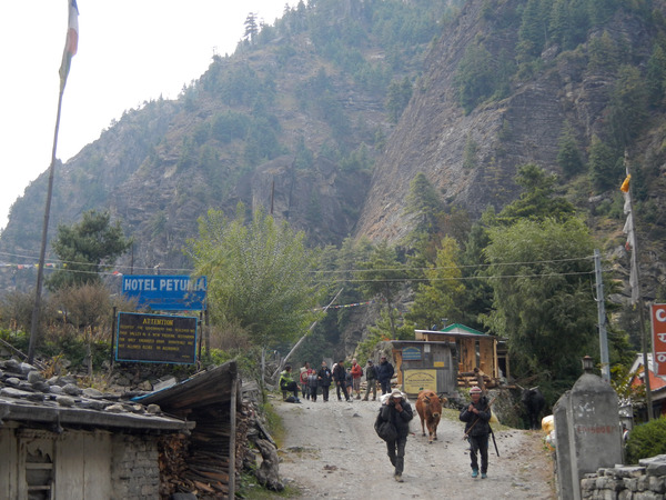 Nepal trekking