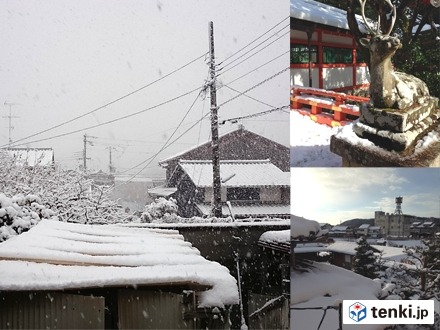 2015年の天気を表す漢字「変」と「雨」