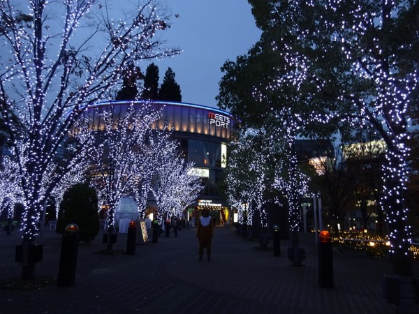 【やってみた】クリスマス番外編…1人でイルミネーションを周遊してみた