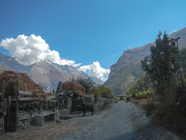 Nepal trekking