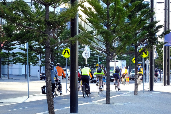 メルボルンは自転車レーンも整備され、朝夕は通勤・通学に利用する人たちでにぎわう