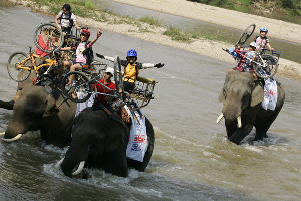 　2月7日から8日にタイで行なわれたクロスカントリーのステージレース「タイ・チェンライ国際MTBチャレンジ2009」の模様を、スポーツナビゲーターとして知られるシラトタロウがレポートしました。同大会は、タイの大自然を満喫しながら挑める自己挑戦レース。プロ選手か