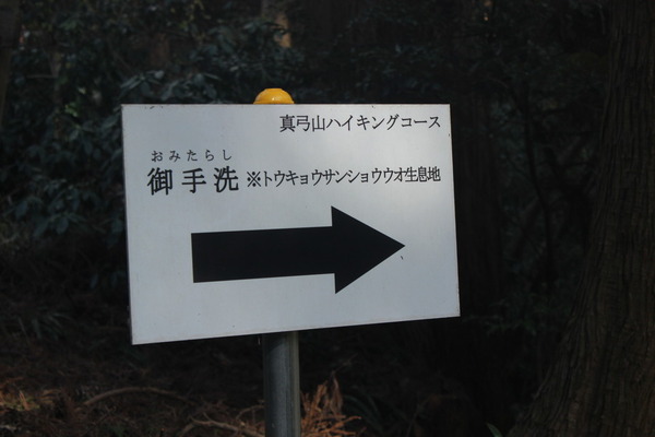 真弓神社の鳥居のそばにあった看板。トウキョウサンショウウオという言葉に心惹かれる