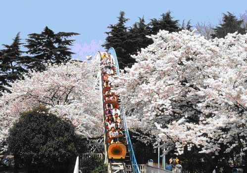 としまえん園内を走る「ひかリノベ桜リレーマラソンinとしまえん」4月2日