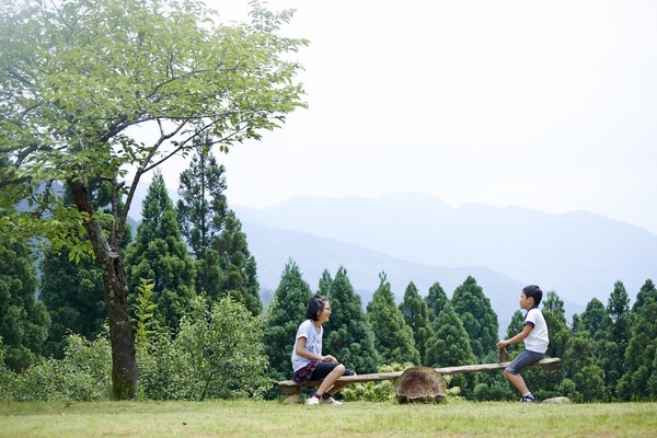 福井県に日本最大級の冒険の森誕生「ツリーピクニックアドベンチャーいけだ」4月オープン