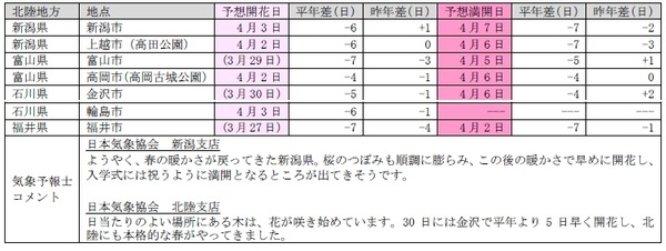 桜開花予想、関東以西で桜が満開に…日本気象協会