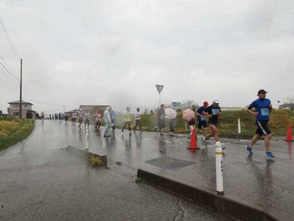 ランニング愛好家が風雨に負けず奮闘…気仙沼大島つばきマラソン