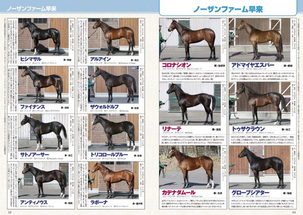 ダービー＆オークスを特集！競馬総合誌「サラブレ」発売